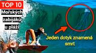 Vědci varují: TOP 10 zabijáků moří, kteří se nebezpečně přibližují k pobřeží!