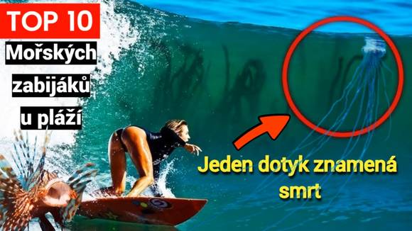 Vědci varují: TOP 10 zabijáků moří, kteří se nebezpečně přibližují k pobřeží!