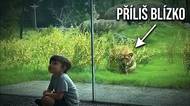 Drama v zoo: Udělali chybu, která se neodpouští